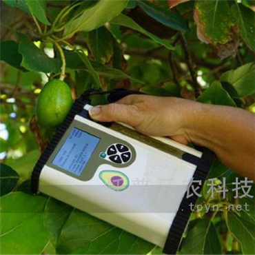 鱷梨品質(zhì)無(wú)損測(cè)量?jī)x